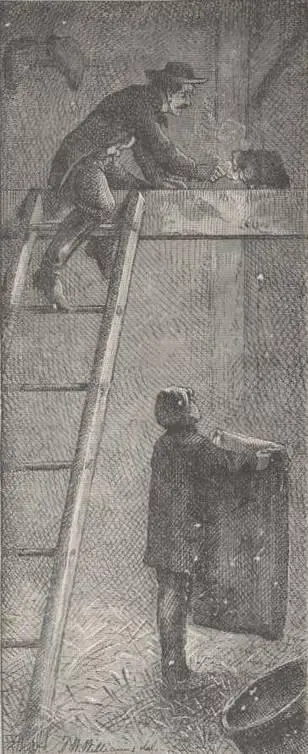 In the case of the other method mentioned for raising poultry your friend - фото 31