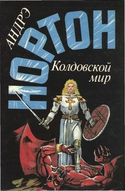 Андре Нортон Волшебница Колдовского мира обложка книги