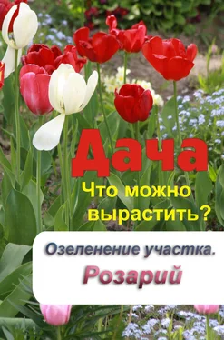 Илья Мельников Что можно вырастить? Озеленение участка. Розарий обложка книги