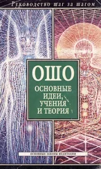 Любовь Орлова - Ошо. Основные идеи, учения и теория