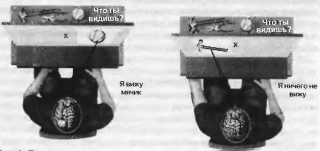 Рис 1Типичное устройство для визуального тестирования пациентов с - фото 1