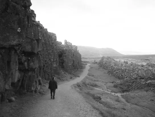 Bobby nearing the end of his life walking down a country road near Álpingi - фото 97
