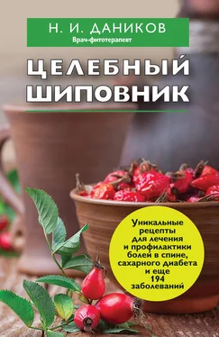 Николай Даников Целебный шиповник обложка книги