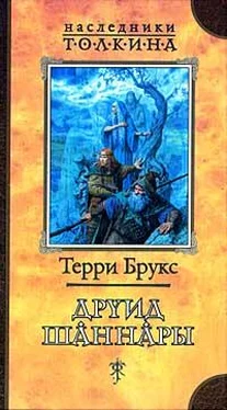 Терри Брукс Друид Шаннары обложка книги