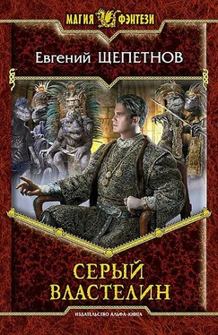 Евгений Щепетнов Серый властелин обложка книги