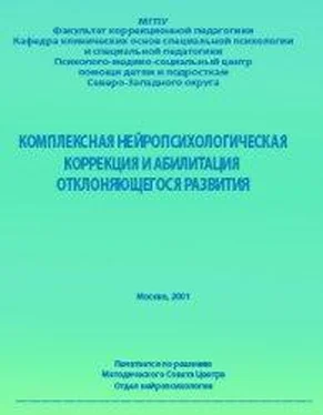 Анна Семенович Комплексная нейропсихологическая коррекция и абилитация отклоняющегося развития — 2 обложка книги