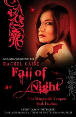 Rachel Caine Fall of Night обложка книги