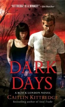 Caitlin Kittredge Dark Days