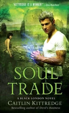 Caitlin Kittredge Soul Trade обложка книги