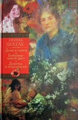 Ноэль Шатле - Дама в синем. Бабушка-маков цвет. Девочка и подсолнухи [Авторский сборник]