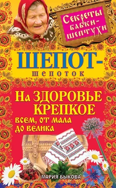 Мария Быкова Шепот-шепоток на здоровье крепкое всем, от мала до велика обложка книги