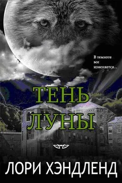 Лори Хэндленд Тень луны обложка книги