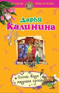 Дарья Калинина Огонь, вода и медные гроши обложка книги