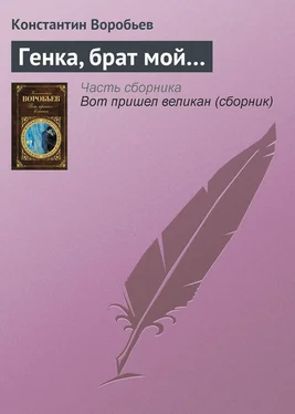 Константин Воробьев Генка, брат мой… обложка книги