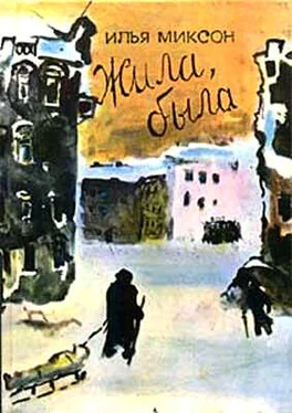 Илья Миксон Жила, была обложка книги