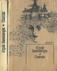 Юрій Винничук - Порядок — це все