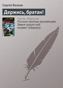 Сергей Волков Держись, братан! обложка книги