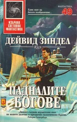 Дейвид Зиндел - Падналите богове