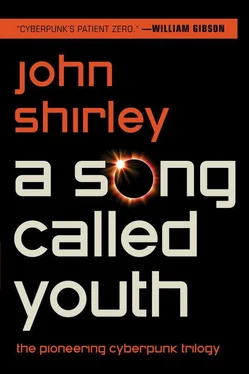 John Shirley A Song Called Youth обложка книги