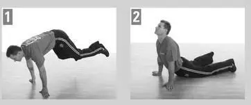 Bull Post If you practice yoga youll recognize this as Downwardfacing Dog - фото 57