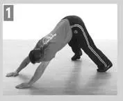 Caterpillar Starting PositionThe extended Bull Post 1Babystep your hands - фото 59