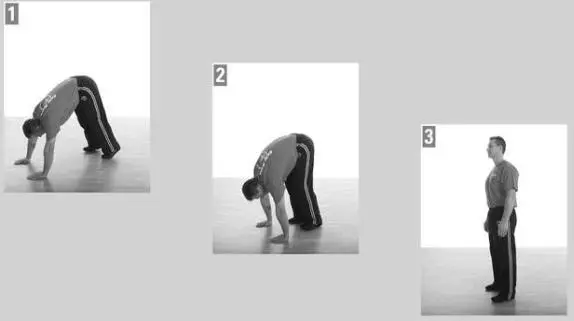 Conditioning for Krav Maga The muscular and cardiovascular conditioning - фото 61