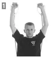 Biceps Curl target biceps Starting PositionAssume Standing Alignment - фото 67