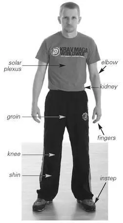 Straight Punch Mechanics Straight punches may be performed with either the - фото 89
