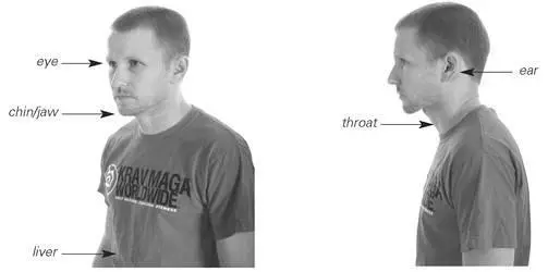 Straight Punch Mechanics Straight punches may be performed with either the - фото 90