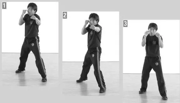 Straight Punch with Advance You can make any straight punch while advancing - фото 96