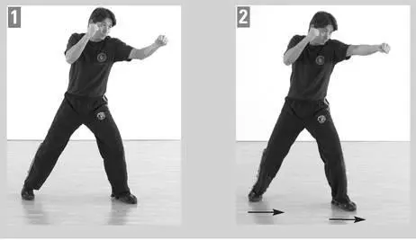 Straight Punch Low A straight punch can be delivered lowto the midsection - фото 98