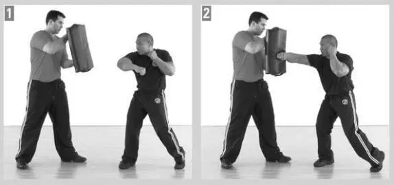 Hammerfist to the Back Hammerfist to the back is essentially the same as - фото 126
