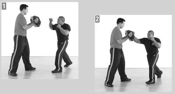 Downward Hammerfist A downward hammerfist will generally be to the back of - фото 130