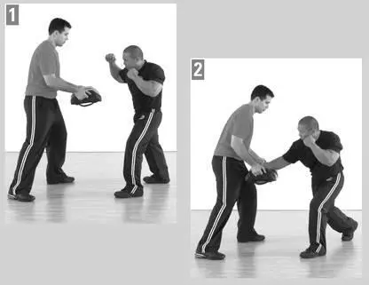 Front Kick Regular Fighting Stance Starting PositionLeftlegforward - фото 132