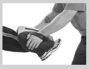 Front Kick Vertical Target Starting PositionLeftlegforward fighting - фото 135