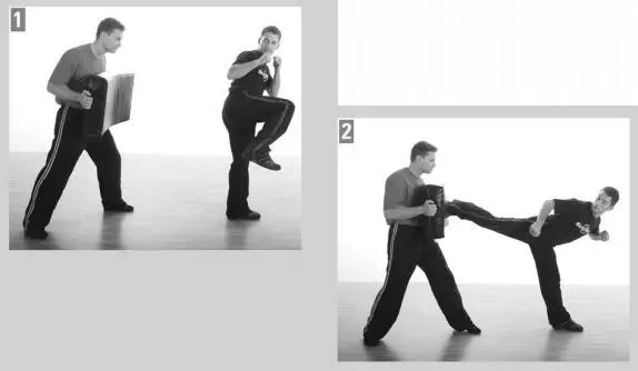 Defensive Front Kick Unlike Front Kick to a Vertical Target page 93 which - фото 141