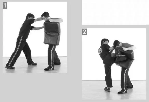 DEFENSES Defenses Overview The selfdefense sections are organized by - фото 147