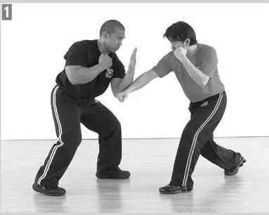 INITIAL COUNTERATTACK Straight Punch page 71 During your initial - фото 160