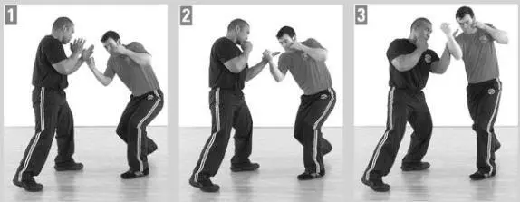 Note the similarities to the Inside Defense against a Straight Punch Low page - фото 166
