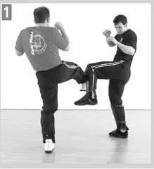 Note Although this has less of the sliding action of an Inside Defense in - фото 167