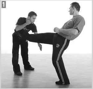 INITIAL COUNTERATTACK Straight Punch As you make the defense burst in and - фото 171