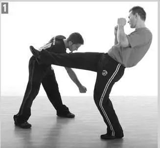 INITIAL COUNTERATTACK Straight Punch As you make the defense burst in and - фото 173