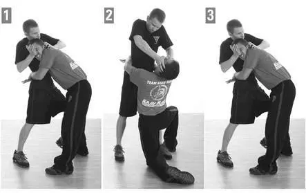 What if I cannot reach around his head to grab his face Excellent question - фото 203
