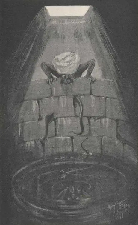 6 The Well of Fate For certain reasons you will next go and do homage at this - фото 123
