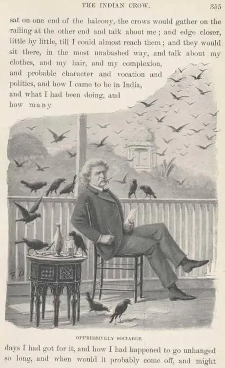 If I sat on one end of the balcony the crows would gather on the railing at - фото 95