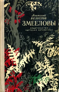 Анатолий Безуглов Змееловы обложка книги