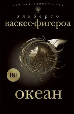 Альберто Васкес-Фигероа Океан обложка книги