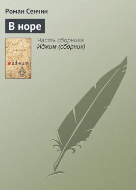 Роман Сенчин В норе обложка книги