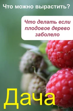 Илья Мельников Что можно вырастить Что делать, если плодовое дерево заболело обложка книги