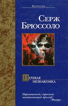 Серж Брюссоло Ночная незнакомка обложка книги